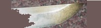 Samurai sword blade tip types